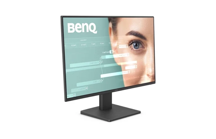 BENQ GW2491 | 23.8" 1080p FHD 100Hz Home Office Monitor