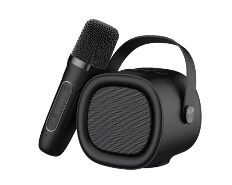 HAVIT SK819BT Outdoor Portable Speaker with Microphone