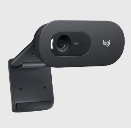 Logitech C505 HD Webcam