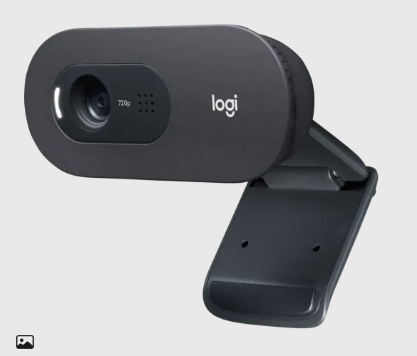Logitech C505 HD Webcam