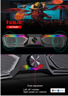 HAVIT HV-SK750BT Wireless Desktop Professional Speaker
