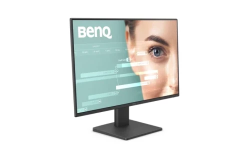 BENQ GW2491 | 23.8" 1080p FHD 100Hz Home Office Monitor