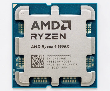 AMD Ryzen 9 9900X Processor (Box)