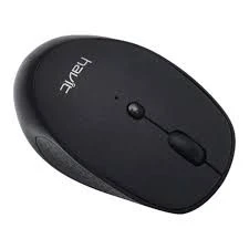 Havit Wireless Mouse MS76GT